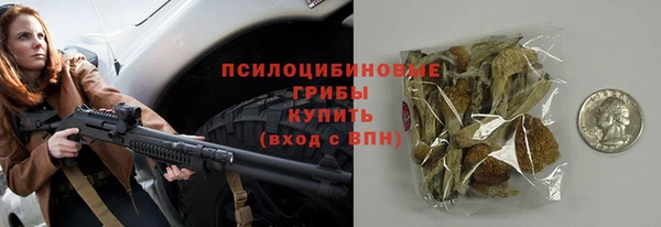 прущий лед Арсеньев