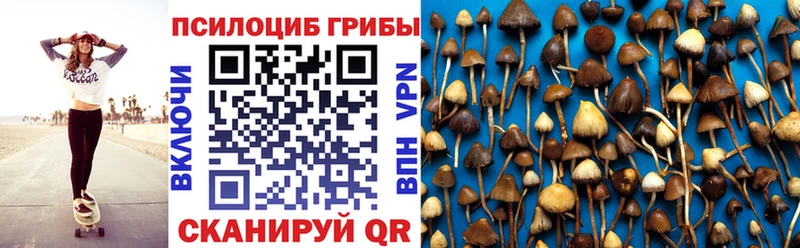 KRAKEN онион Рубцовск Псилоцибиновые грибы Psilocybe